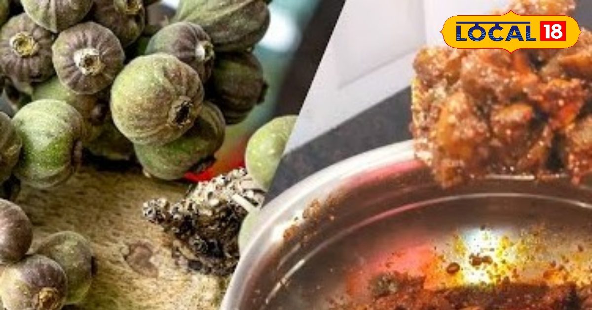 Bageshwar News: If you are fond of eating sour-sweet pickles, then definitely learn to make pickles of Uttarakhand, guests will repeatedly demand-uttarakhand news