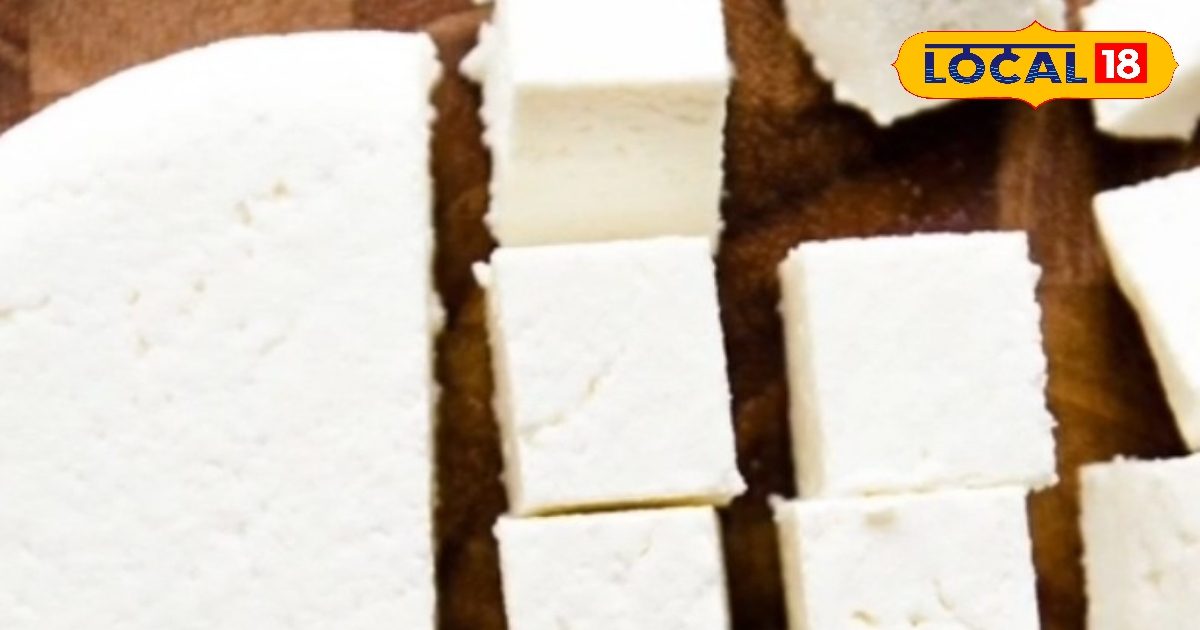 How to Make Fresh Paneer: Festival or daily food, avoid fake cheese, make pure and soft cheese at home