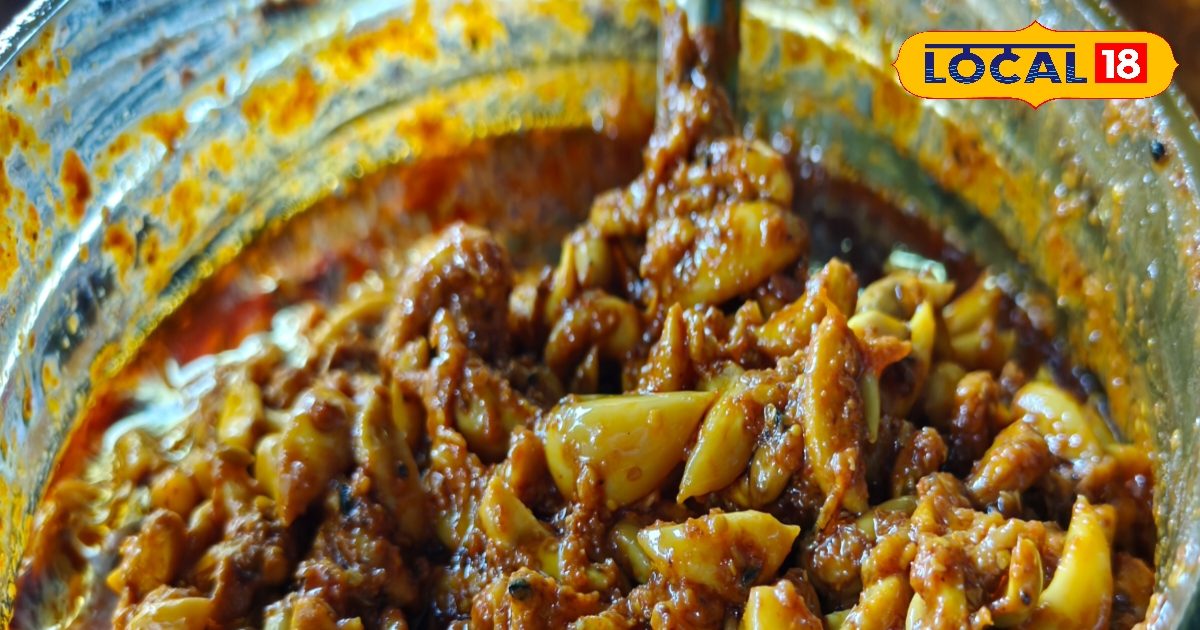Garlic Pickle: A Treasure of Taste as Well as Health, Learn the Easy Recipe … – Himachal Pradesh News