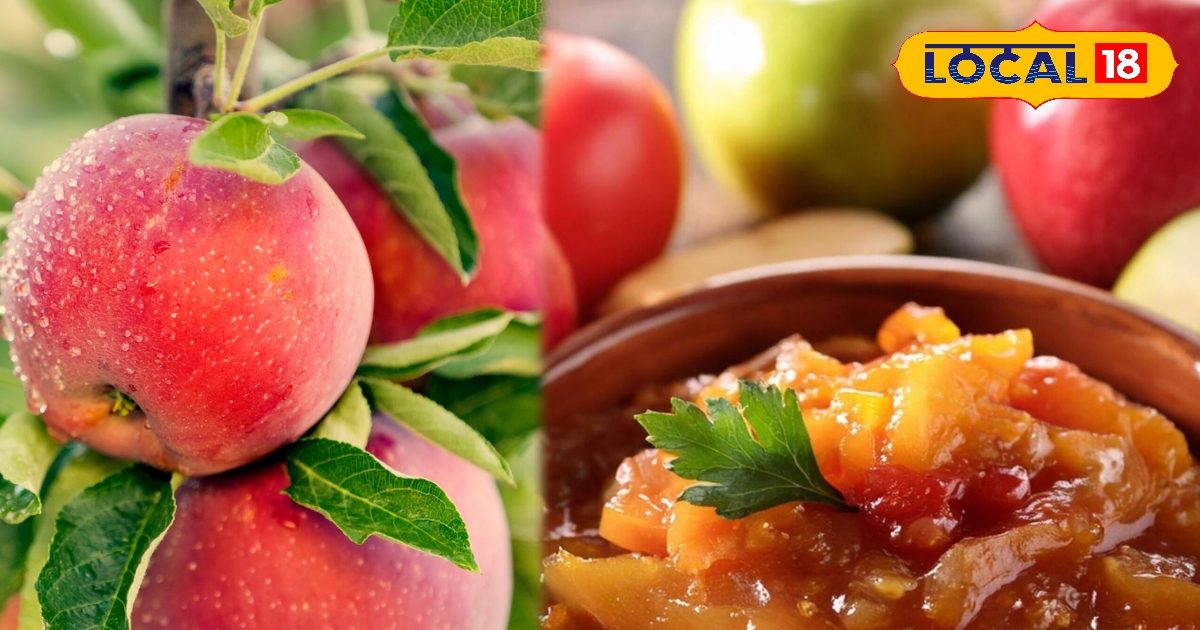 Apple Chutney: Make apple chutney at home like this, the taste is a combination of sweet, sour and spicy, people will eat it after licking their fingers.